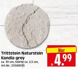 Edeka Herkules Trittstein Naturstein Kandla grey Angebot