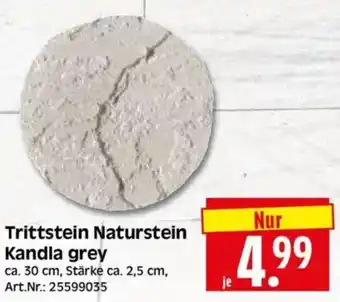 Edeka Herkules Trittstein Naturstein Kandla grey Angebot