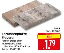 Edeka Herkules Terrassenplatte Figuera Angebot