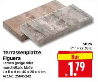Edeka Herkules Terrassenplatte Figuera Angebot