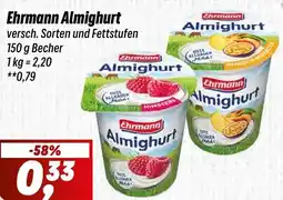 Simmel Ehrmann Almighurt Angebot
