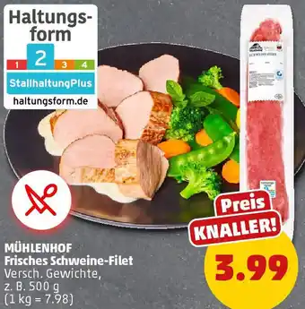 PENNY MÜHLENHOF Frisches Schweine-Filet Angebot