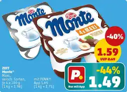 PENNY ZOTT Monte Angebot