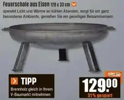 V Baumarkt Feuerschale aus Eisen Angebot