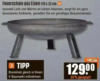 V Baumarkt Feuerschale aus Eisen Angebot