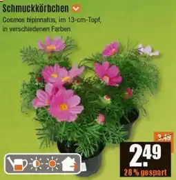 V Baumarkt Schmuckkörbchen Angebot