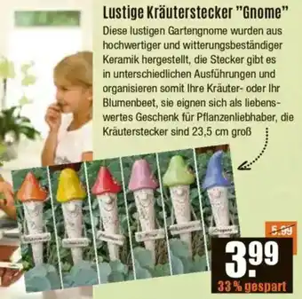 V Baumarkt Lustige Kräuterstecker "Gnome" Angebot