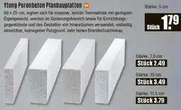 V Baumarkt Ytong Porenbeton Planbauplatten Angebot