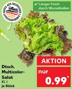 Kaufland Dtsch. Multicolor Salat Angebot