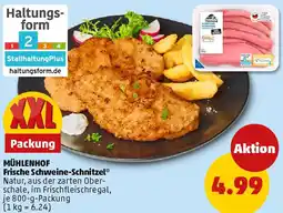PENNY MÜHLENHOF Frische Schweine-Schnitzel Angebot