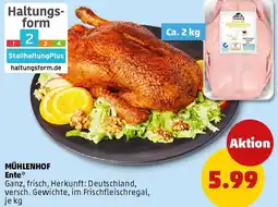 PENNY MÜHLENHOF Ente Angebot