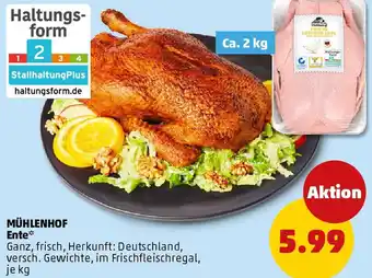 PENNY MÜHLENHOF Ente Angebot