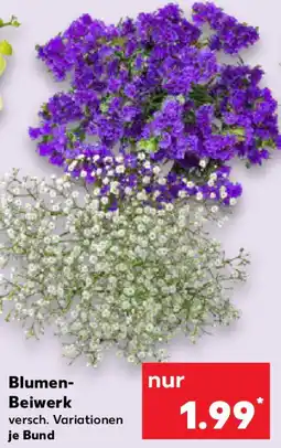 Kaufland Blumen Beiwerk Angebot