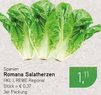 Dornseifer Spanien Romana Salatherzen Angebot
