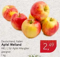 Dornseifer Apfel Welland Angebot