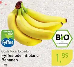 Dornseifer Fyffes oder Bioland Bananen Angebot