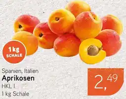 Dornseifer Aprikosen Angebot