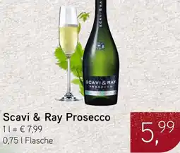 Dornseifer Scavi & Ray Prosecco Angebot