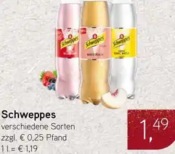 Dornseifer Schweppes Angebot