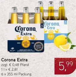 Dornseifer Corona Extra Angebot
