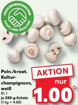 Kaufland Poln./kroat. Kulturchampignons, weiß Angebot