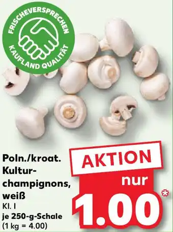 Kaufland Poln./kroat. Kulturchampignons, weiß Angebot