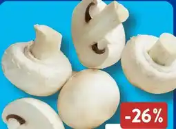 Aldi Süd Champignons Angebot