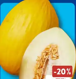 Aldi Süd Honigmelone Angebot
