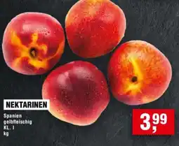 Handelshof NEKTARINEN Angebot