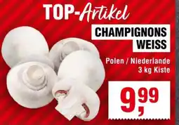 Handelshof CHAMPIGNONS WEISS Angebot
