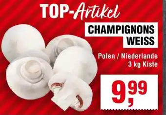Handelshof CHAMPIGNONS WEISS Angebot