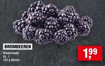 Handelshof BROMBEEREN Angebot