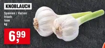 Handelshof KNOBLAUCH Angebot