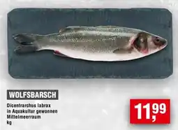 Handelshof WOLFSBARSCH Angebot