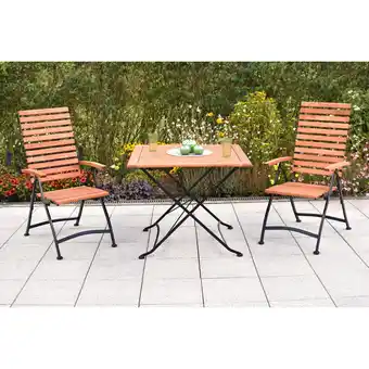 Netto Marken-Discount Merxx Schlossgarten Set 3tlg. Klapptisch Angebot