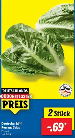 Lidl Deutscher Mini Romana Salat Angebot