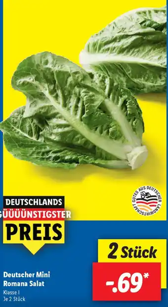 Lidl Deutscher Mini Romana Salat Angebot
