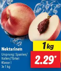 Lidl Nektarinen Angebot