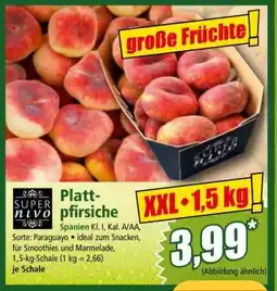 Norma Plattpfirsiche Angebot