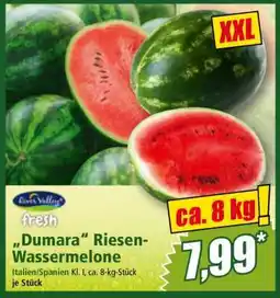 Norma Dumara Riesen-Wassermelone Angebot