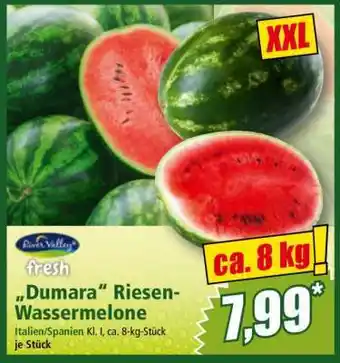 Norma Dumara Riesen-Wassermelone Angebot