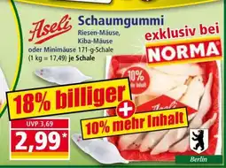 Norma Aseli Schaumgummi Angebot