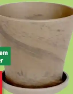 Thomas Philipps Terrakotta Übertopf Rio Angebot
