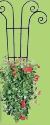 Thomas Philipps Metall-Blumenspalier Angebot