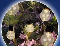 Thomas Philipps LED-Glühlampenlichterkette Angebot