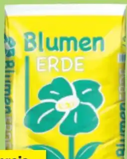 Thomas Philipps Blumenerde Angebot