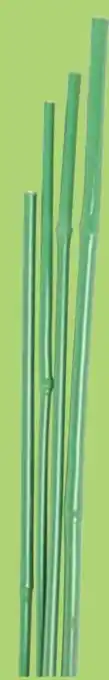 Thomas Philipps Bambus-Blumenstab Angebot