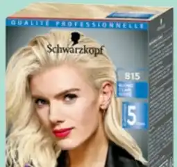 Thomas Philipps Schwarzkopf Brillance Intensiv-Color Creme Angebot