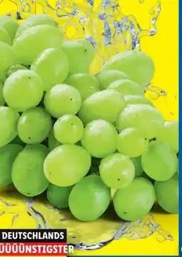 Lidl Trauben Angebot