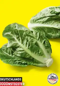Lidl Mini-Romana-Salat Angebot
